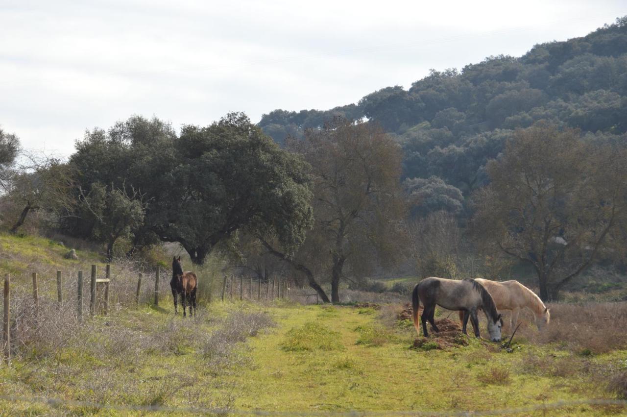 Herdade Ribeira de Borba Vila Viçosa Exterior foto